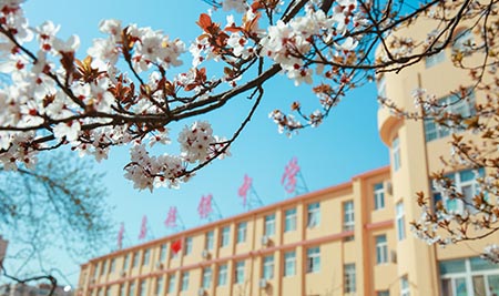 Qingdao